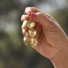 Handcrafted Gold Plated Brass Earrings - Image 2