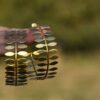 Gold Plated Leaf Hoops - Image 3