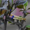 Brass Bangle Bracelet
