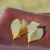 Elegant Leaf-Shaped Earrings