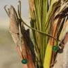 Modern Gold Plated Brass Fashion Earrings