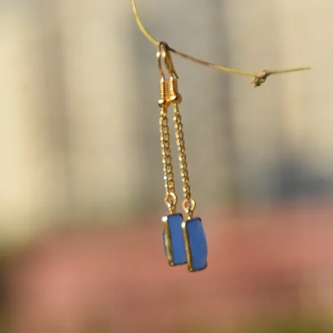 Brass Dangler Earrings Blue